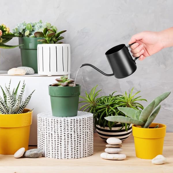 Mini vandkande, rustfrit stål med lang tud til små indendørs planter, sukkulenter og bonsai, sort, 350 ml