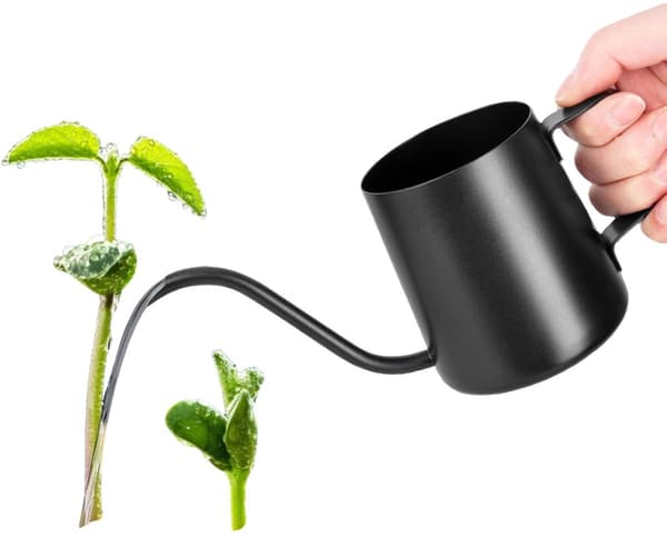 Mini vandkande, rustfrit stål med lang tud til små indendørs planter, sukkulenter og bonsai, sort, 350 ml