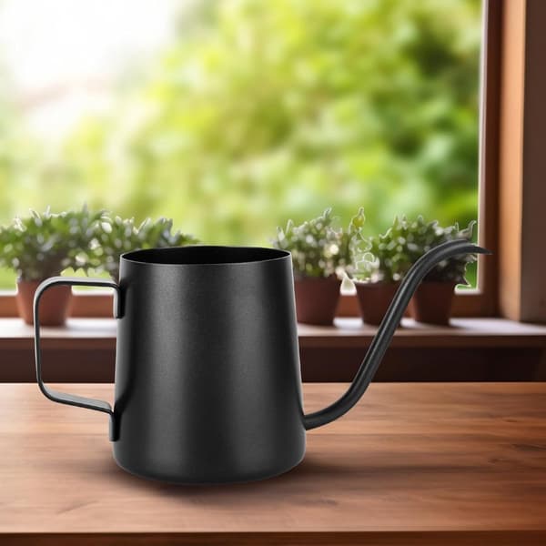 Mini vandkande, rustfrit stål med lang tud til små indendørs planter, sukkulenter og bonsai, sort, 350 ml