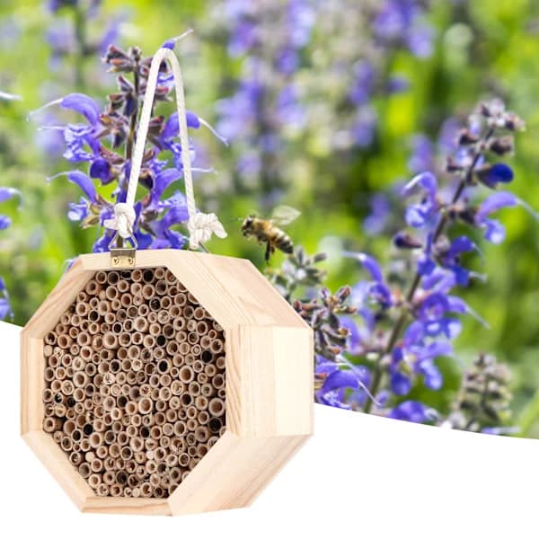 Træinsekthus, bihule, insektreder, udendørs havepynt