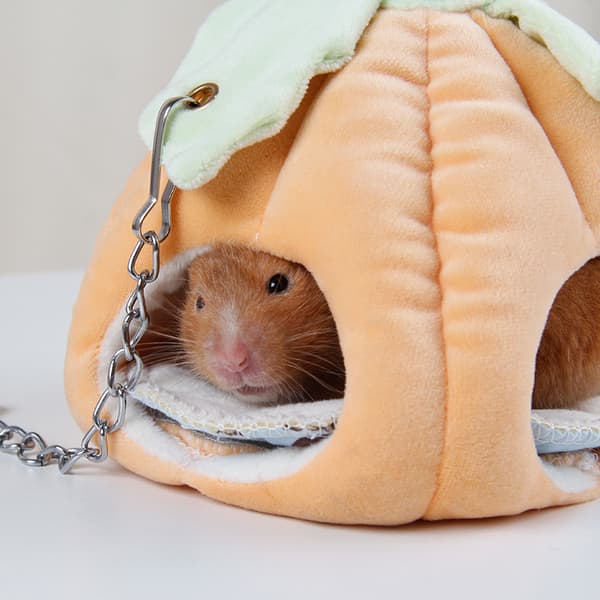 Hamsterbo Lemmikkitarvikkeet Hamsterin puuvillapesä lämpö
