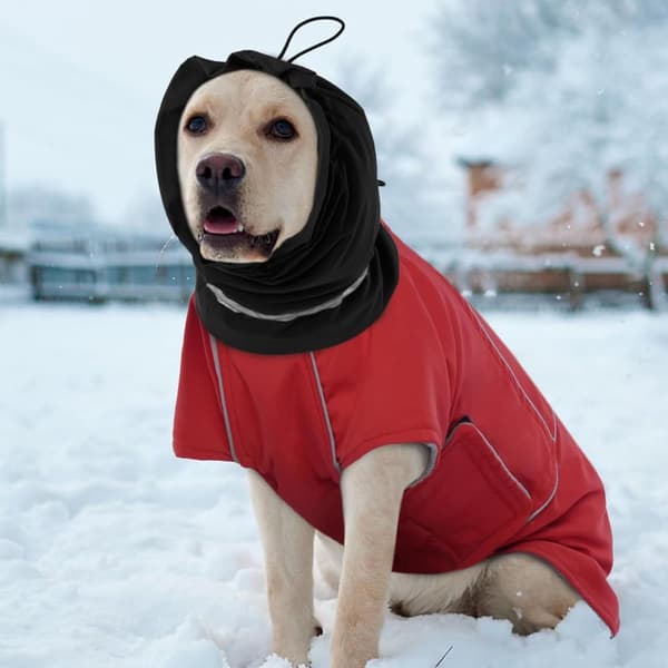 Hunde vinter ørevarmere, beroligende og vandtætte, sort, L (omkreds 50-64 cm), til sne- og regnbeskyttelse