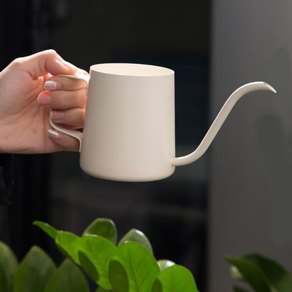 Mini vandkande, 350 ml rustfrit stål med lang tud til små indendørs planter, bonsai og sukkulenter, hvid