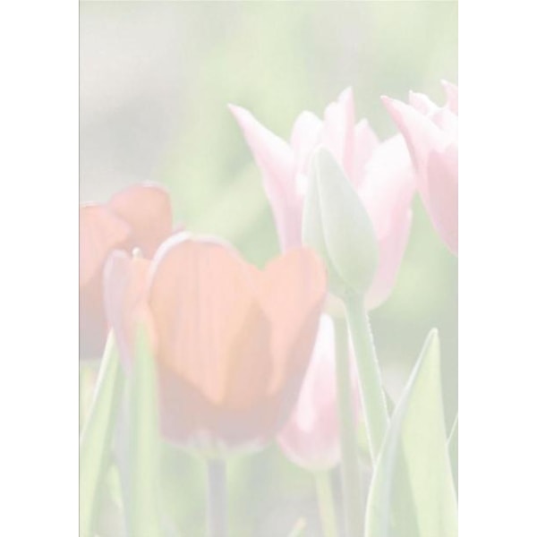 Motivpapper Sigel Spring Fever DP462 A4 90gram, 25 ark/fp multifärg