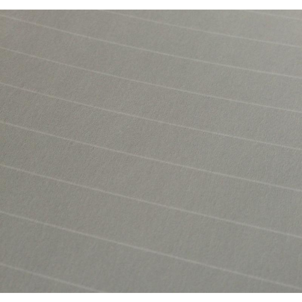 Anteckningsbok Whitelines® Note book A4, 84 blad linjerat 1/fp grå