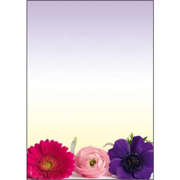 Motivpapper Sigel Flower Harmony DP003 A4 90gram, 50 ark/fp multifärg