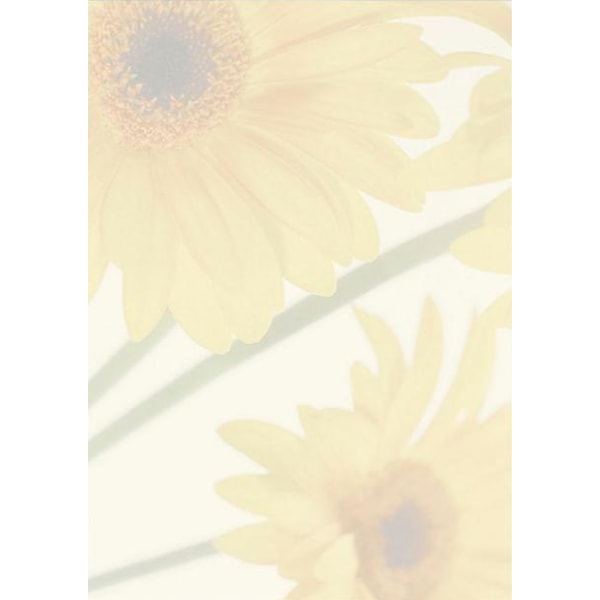 Motivpapper Sigel Finesse DP465 A4 90gram, 25 ark/fp multifärg