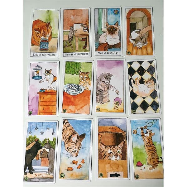 Katt Tarot Djur Katt Tarot null none