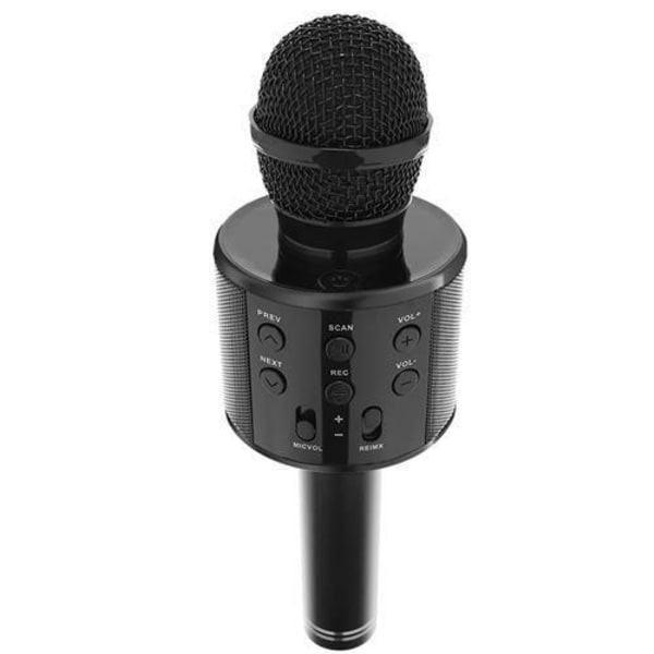 Karaoke mikrofon med högtalare Svart