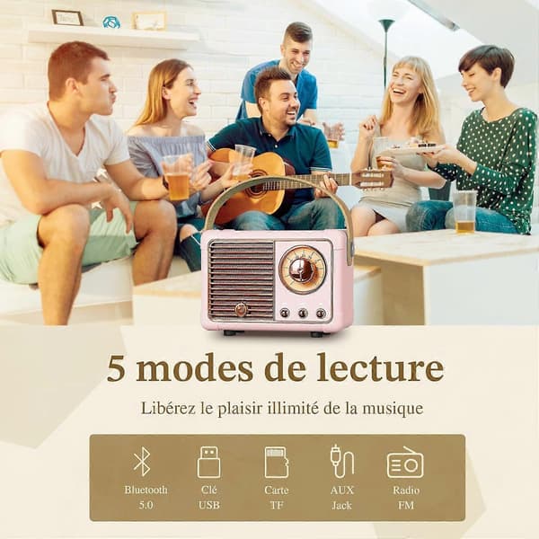 Bärbar Retro Bluetooth-högtalare, FM-radiohögtalare, 3 W högeffekthögtalare, basmembran, stöder USB/TF-kort/AUX