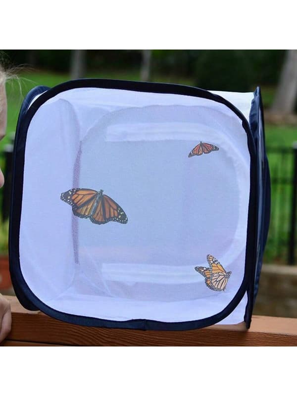 Fjärilbur, hopfällbar insektbur size:40*40*60cm