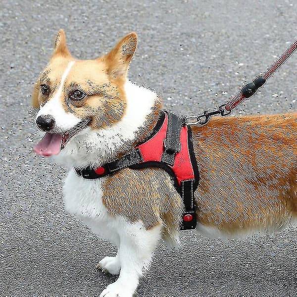 Hundkoppel Dragsele Bröstsele Drag Explosionssäker Röd-s Aespa
