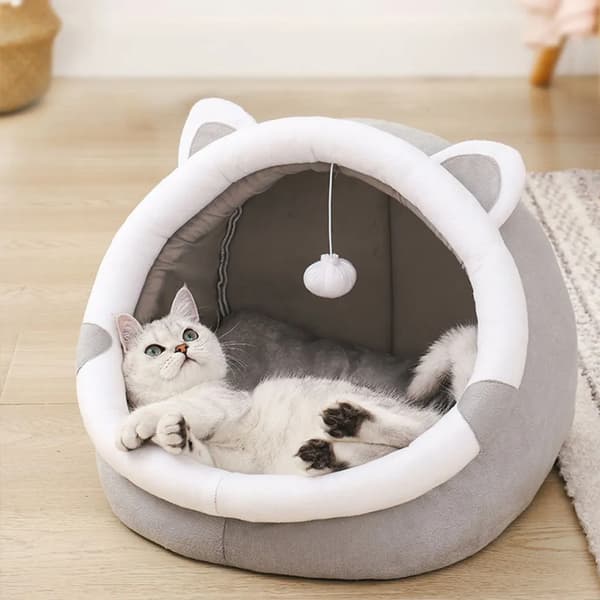 Kattsäng, kattkudde, kattkorg, Kattöron, L