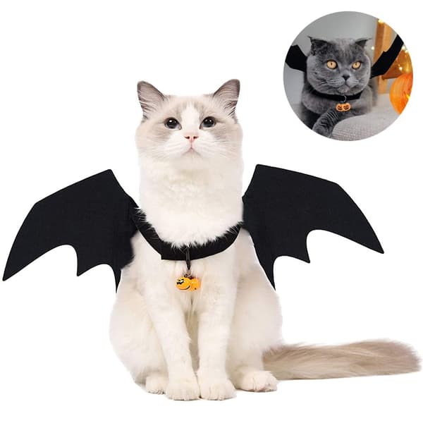 Katt Fladdermusvingar Kostym, Halloween Husdjursdräkt (S)