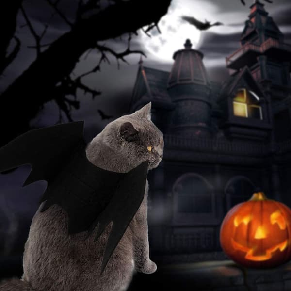 Katt Fladdermusvingar Kostym, Halloween Husdjursdräkt (S)