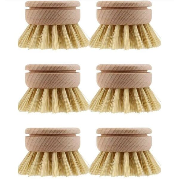 Diskborste i sisal bokträ köksrengöringsborste - 6 x 4 cm, 6-pack