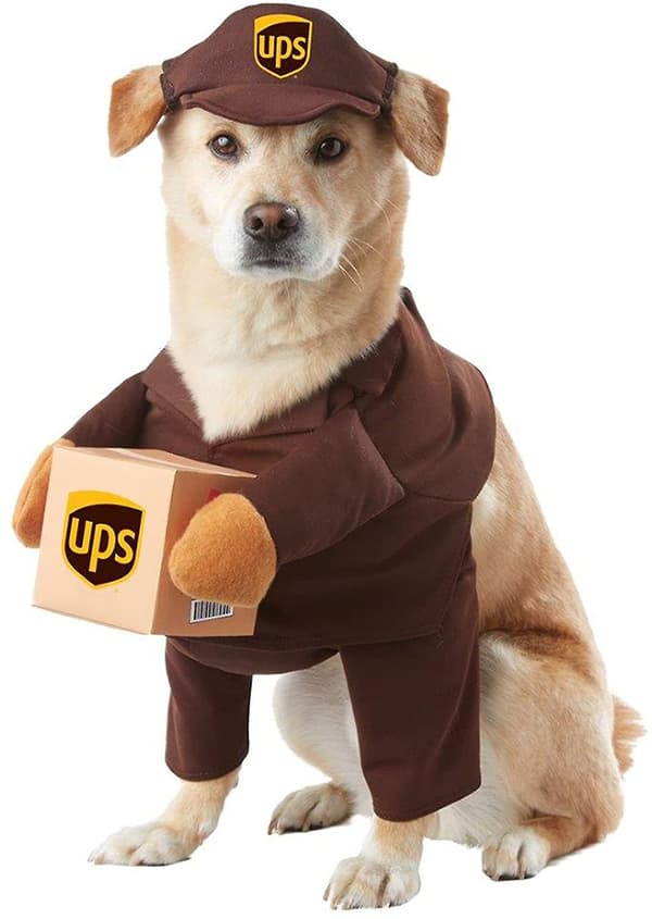 Halloween Kostym California S Husdjur Ups Kompis Hund