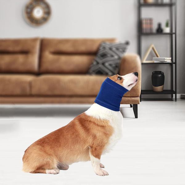Pet Dog Vinter uvtröja Bad Grooming Nacke Öronskydd Z bule L