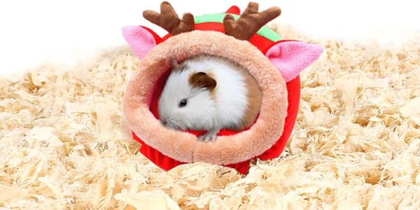 Varmere Hedgehog Tilbehør Leker Husbur Tilbehør Seng Sovepose H Red Elk