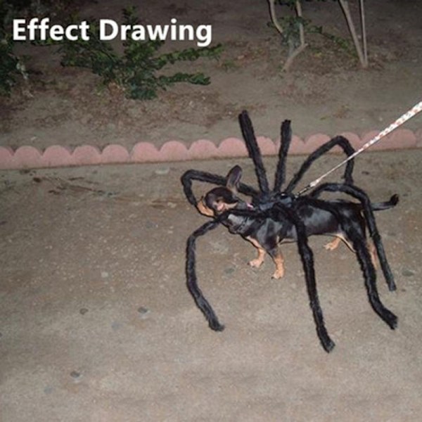 Halloween Pet Black Spider Costume Spider Cosplay Vaatteet zy L(125CM)