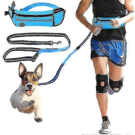 Handsfree elastiskt hundkoppel för löpning (1 set) - grön
