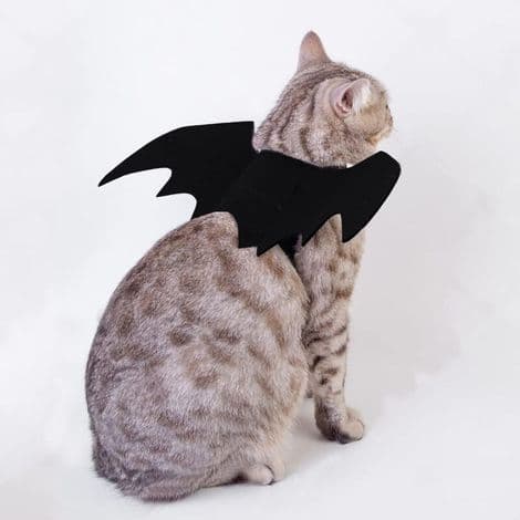 Halloween-dräkt med kala vingar för hundar och katter L