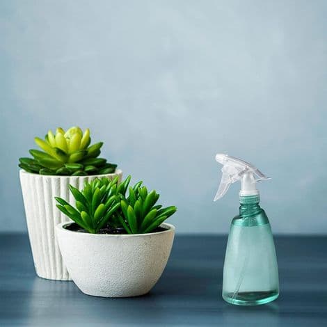 3-delat tomt 500 ml sprayflaskset, påfyllningsbar plastsprayflaska med avtryckare, 2 spraylägen, transparenta sprayflaskor, för rengöring, växter, hår