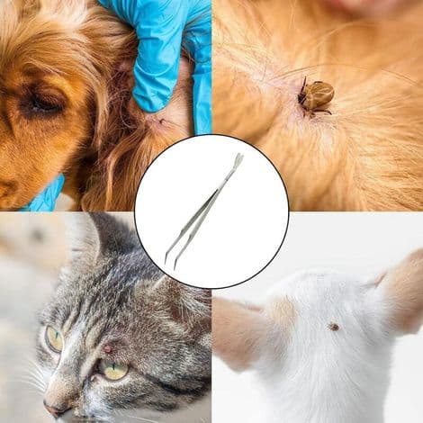 2-i-1 Flåt-fjerner i Rustfrit Stål til Hunde og Katte - Nem at Bruge - ANDET