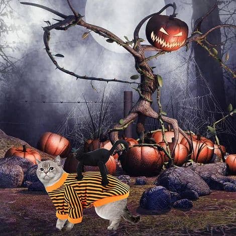 Halloween-kostume til hunde - Åndbart fleecemateriale - Justerbar velcrolukning - Velegnet til hunde og katte - Efter størrelse