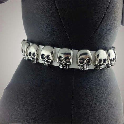 Halloween-halsband för husdjur (2-pack)