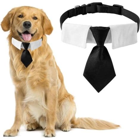 Hundslips, 1-pack svart bomullsslips med justerbart spänne för medelstora och stora hundar, storlek M