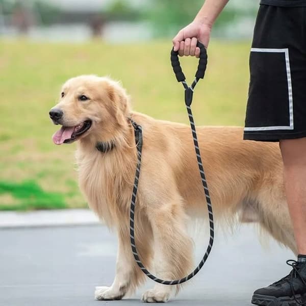 HUNDKOPPEL STARK REP TJOCK REFLEKTERANDE REP 3 m |