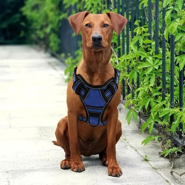 Phoesky \"No-Pull\" Hundevest - Reflekterende - Terylene - Justerbar - 2 Kontrollhåndtak - Svart - S