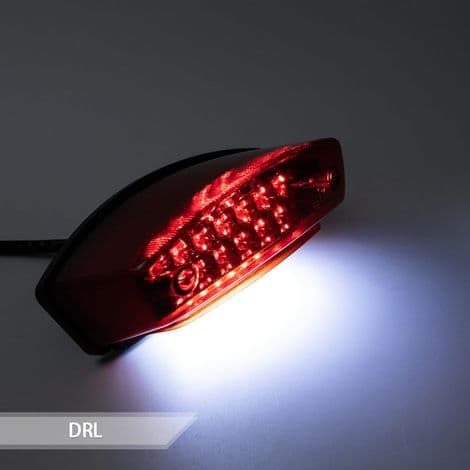 Universal 12V 21 LED Motorcykel Baglygte, Hvid Nummerpladelys, Rødt Bremselys (B)