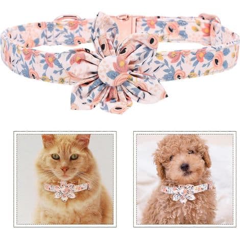 Hundhalsband med blomdekor