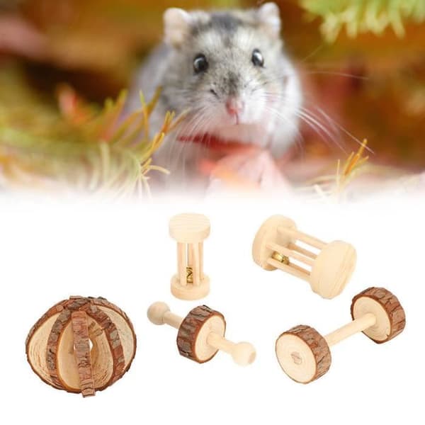 5 st/set Trähamsterboll, Säker Trähamsterleksak, Trähamstertuggleksaker för chinchillor och kaniner