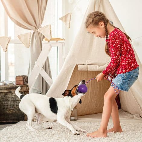 PCS Bold med Reb til Hunde, Kastebolde til Hunde og Katte, Tyggelegetøj til Store og Små Hunde, Hent, Kast og Træk