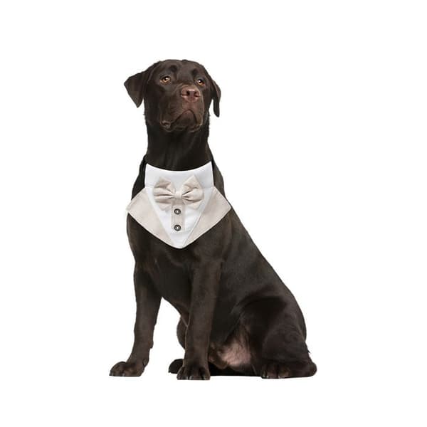 Hundesløyfe - Phoesky - Polyester - Festtilbehør - For hunder og katter