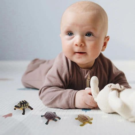 Sæt med 12 skildpaddefigurer, udviklingslegetøj til småbørn