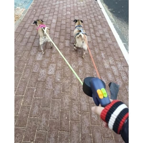 Infällbart dubbelkoppel - 3 meter - 360° - För två hundar - Upp till 22,7 kg