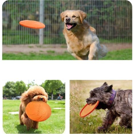 Sæt med 2 hundefrisbees - Mellemgrøn (18 cm) + Mellemorange (18 cm)