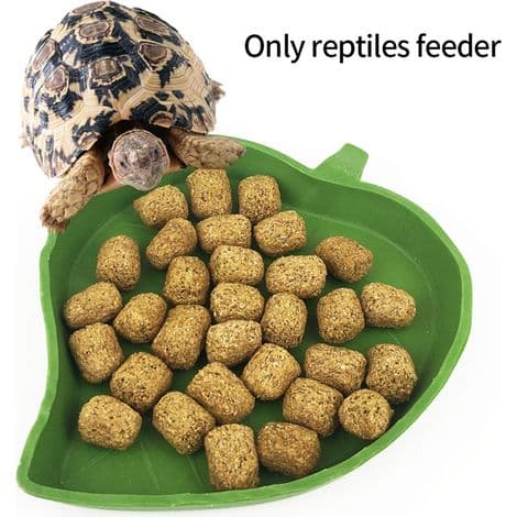 2-delt reptilbladskål for vann og mat til skilpadder, slanger og andre reptiler.