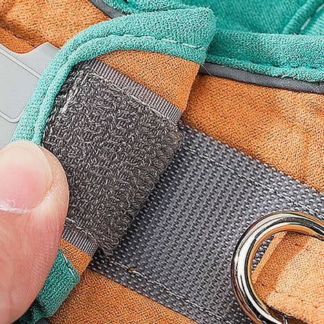 Rømningssikker sele og bånd for katter og små hunder, størrelse M, 1,5-4 kg