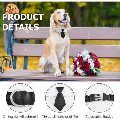 Hundslips, 1-pack svart bomullsslips med justerbart spänne för medelstora och stora hundar, storlek M