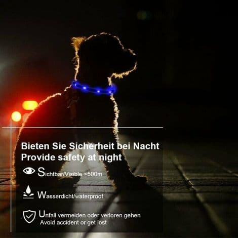 LED-djurtillbehör LED-upplyst hundhalsband i silikon, blått