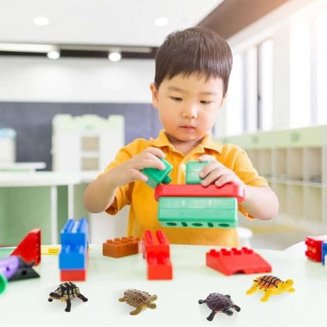 Sæt med 12 skildpaddefigurer, udviklingslegetøj til småbørn