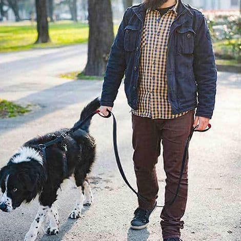 Premium hundkoppel med dubbla handtag - Robust koppel med dubbla handtag. 1,5 m