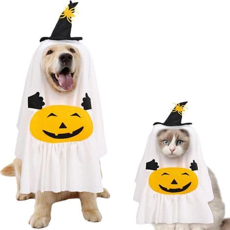Pumpa- och spökkostym för hundar M