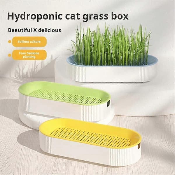 Hydroponisk Kattegræsboks Kattesnack Hydroponisk Mindre P Kattegræspotte B-Yogu