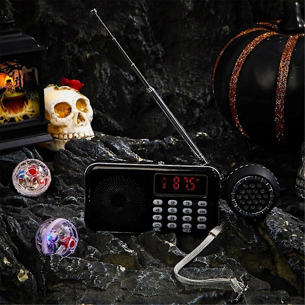 4 st Spirit Box Utrustningskit, med 2 LED Kattbollar 1 Spirit Box Högtalare Paranormal Utrustningskit för